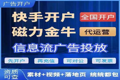 竞价推广策略：某电商平台的成功之路