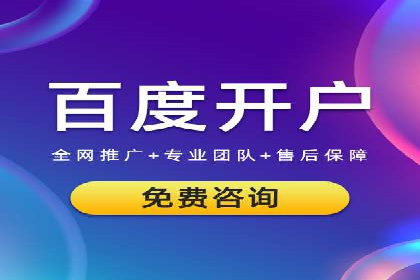 某电商平台的SEM运营实战与效果分析